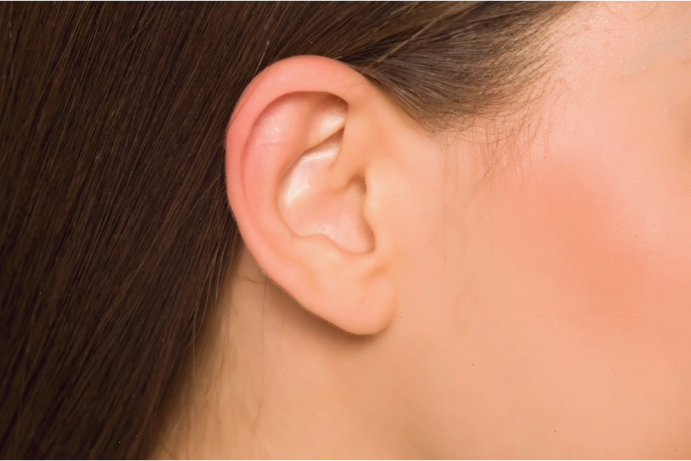 Phụ nữ tai nhỏ có thể thành công trong sự nghiệp nhờ sự cẩn trọng và tỉ mỉ