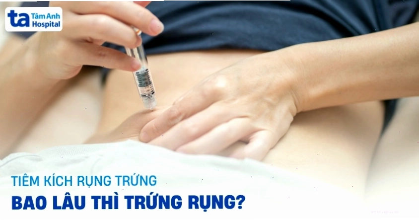 Sau tiêm kích rụng trứng bao lâu thì trứng rụng? [THẮC MẮC]