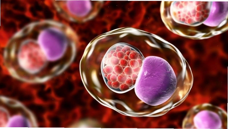 Tác hại của vi khuẩn Chlamydia đối với sức khỏe