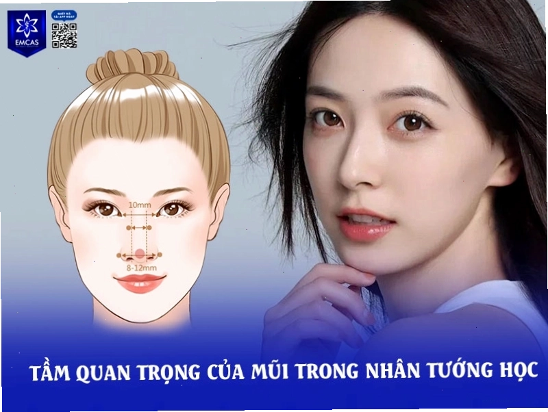 Tầm quan trọng của mũi trong nhân tướng học