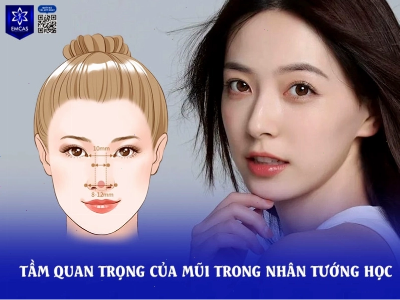 Tầm quan trọng của mũi trong nhân tướng học và phong thủy