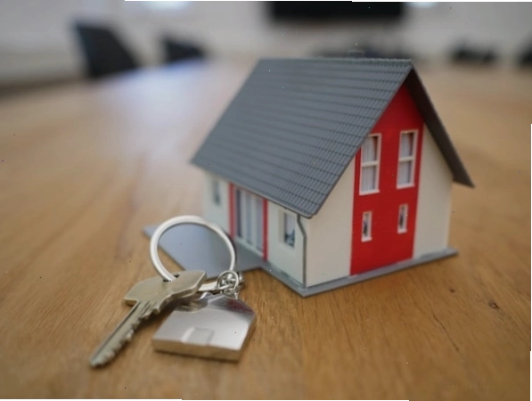 Tầm quan trọng của việc chăm sóc cây xanh trong nhà