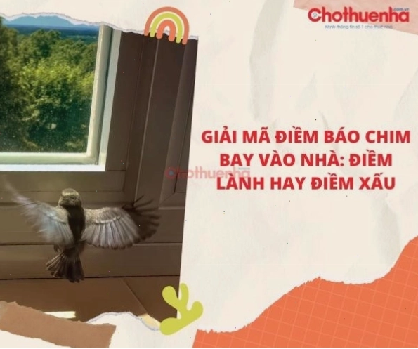 Tạo không gian xanh giúp thu hút chim chóc và mang lại vượng khí