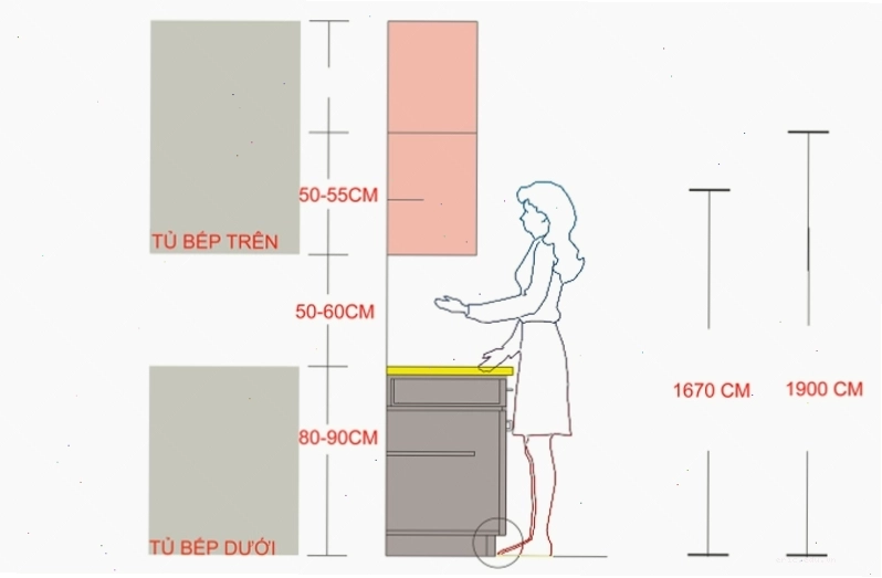 Thiết kế chiều cao của bếp phù hợp với vóc dáng người dùng