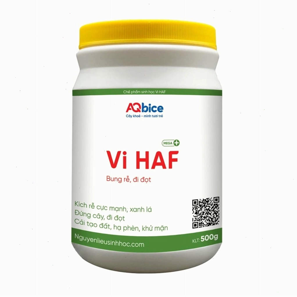 Thuốc kích rễ cho cây Vi HAF giúp cây ra rễ nhanh, đi đọt mạnh