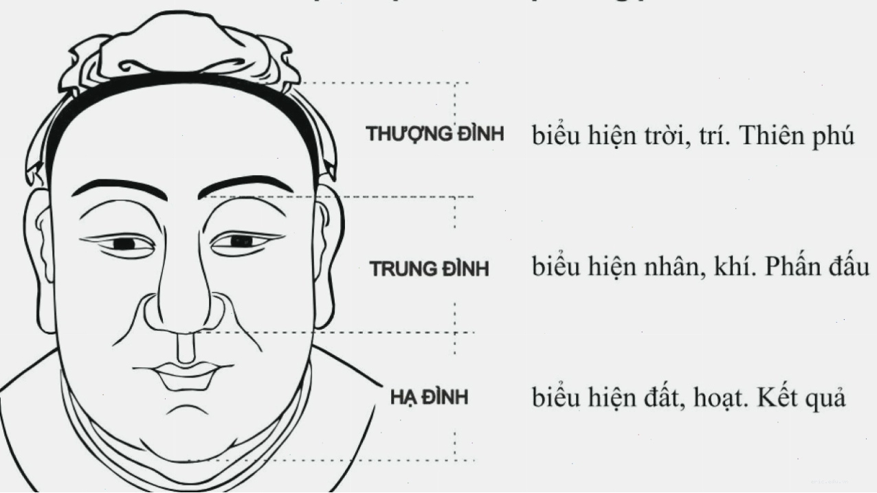 Tổng thể ngũ quan trên khuôn mặt nam giới