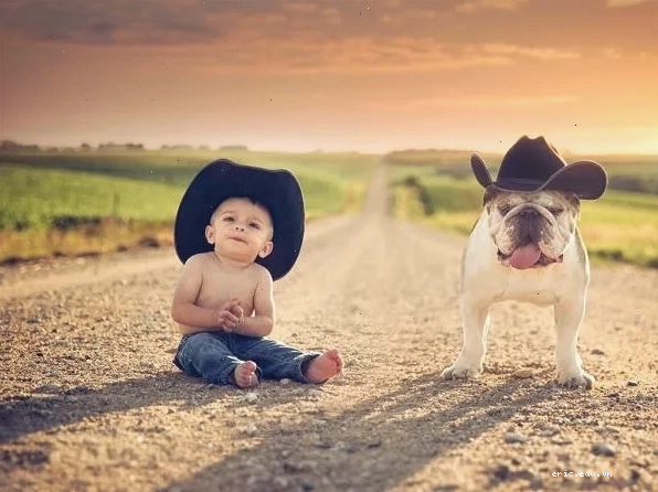 Trẻ em sinh giờ Dậu thường có tướng mạo đáng yêu, thể hiện sự chăm chỉ từ nhỏ
