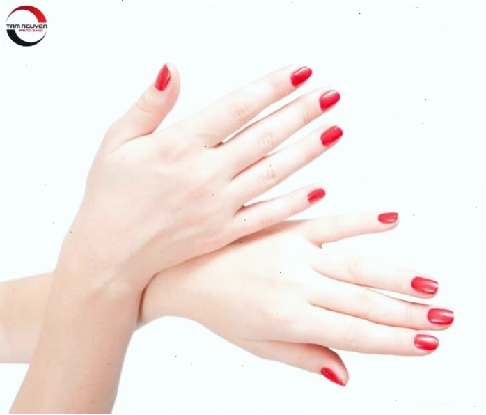 Tướng bàn tay phụ nữ nhỏ nhắn và các đường chỉ tay rõ nét