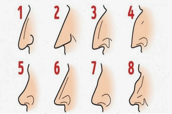 Tướng học đàn ông qua dáng mũi