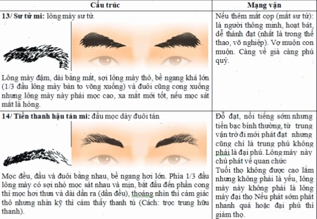 Tướng lông mày đậm dày đẹp ở phụ nữ