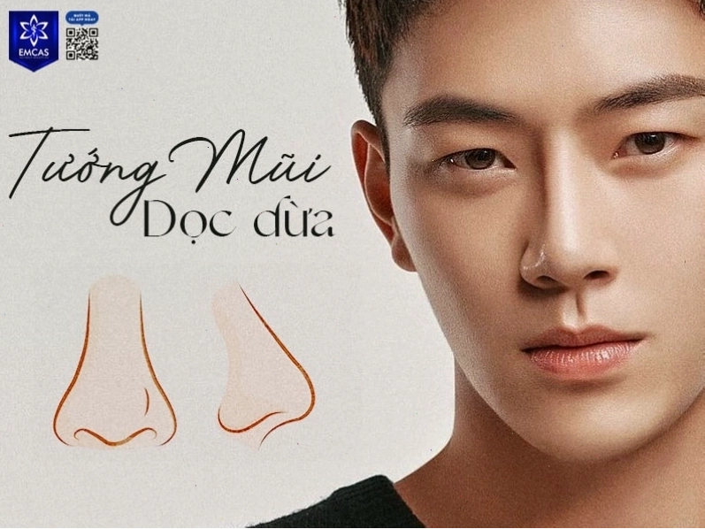 Tướng mũi dọc dừa đàn ông thể hiện sự chính trực và thông minh