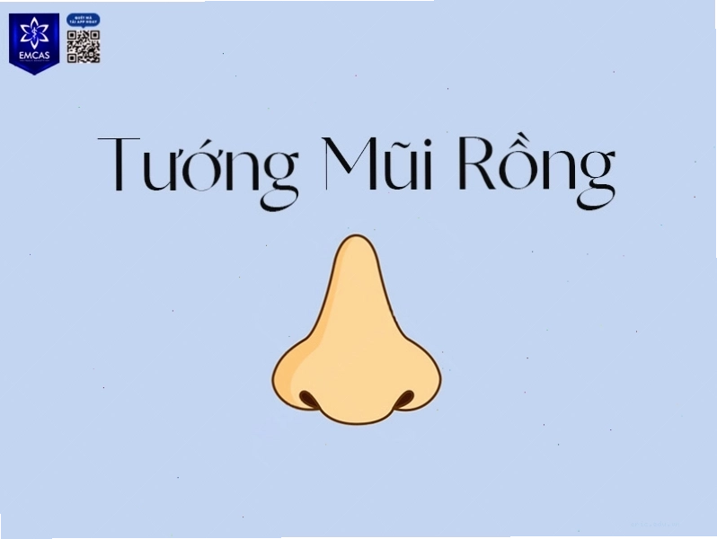 Tướng mũi rồng đàn ông biểu tượng cho quyền lực và sự nghiệp hanh thông