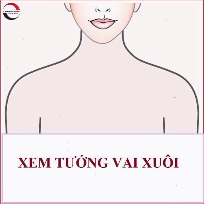 Tướng phụ nữ vai rộng và ý nghĩa sự nghiệp