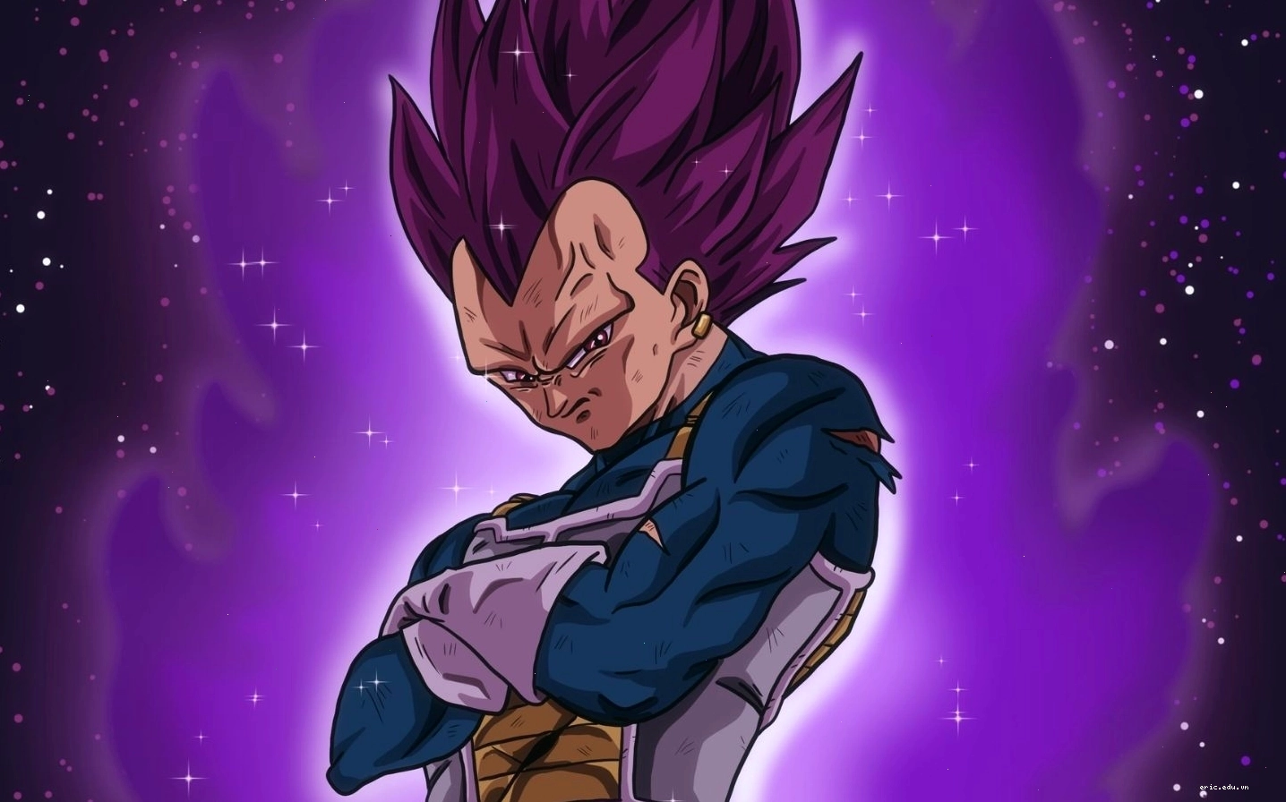 Vegeta trong trạng thái Super Saiyan Blue cực lạnh lùng