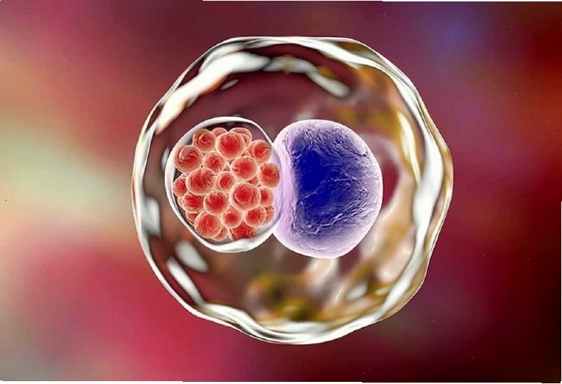 Vi khuẩn Chlamydia trachomatis - Tác nhân chính gây bệnh Chlamydia