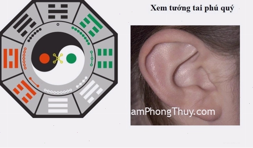 Xem tướng tai để đoán vận mệnh và tính cách