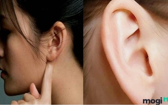 Xem tướng tai để giải mã tính cách