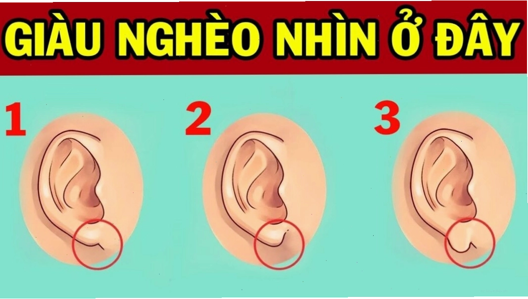 Xem tướng tai nữ giới với vành tai và cấu trúc tai