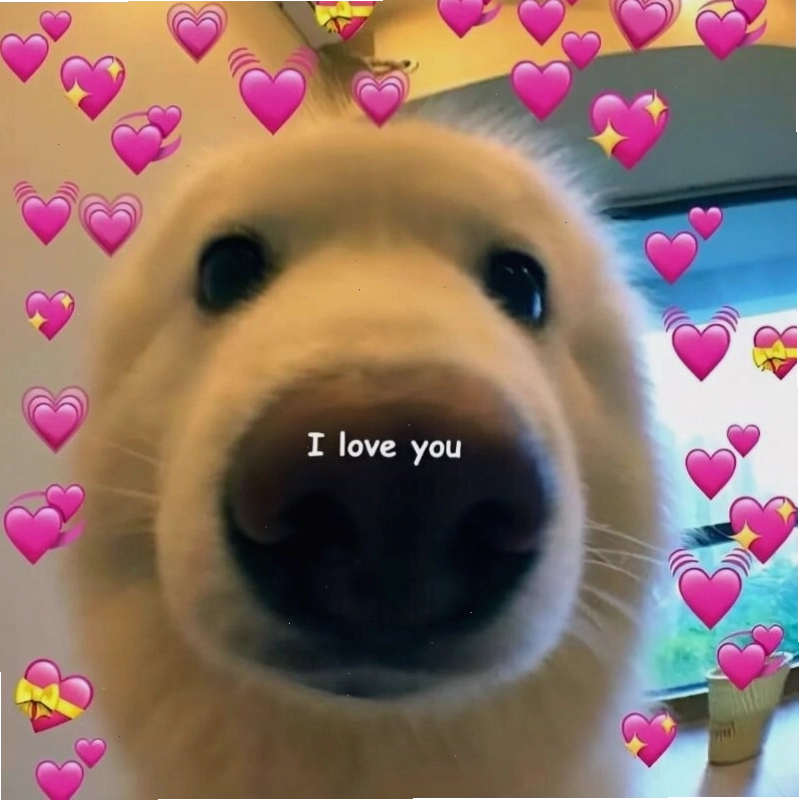 Ý nghĩa meme tình yêu trong việc thể hiện cảm xúc