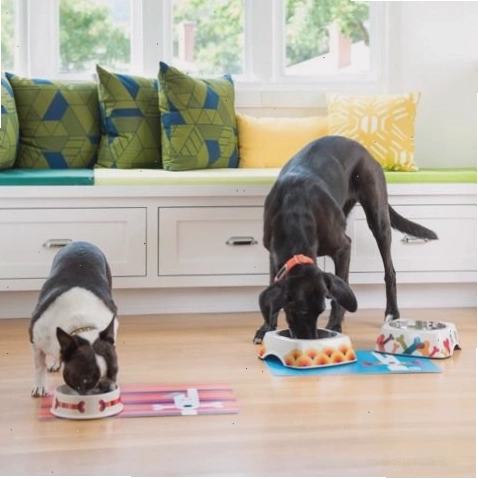 Modern sustainable bamboo pet bowls for dogs and cats in a kitchen setting