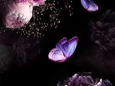 Hình nền điện thoại full HD siêu nét dành cho mọi dòng máy