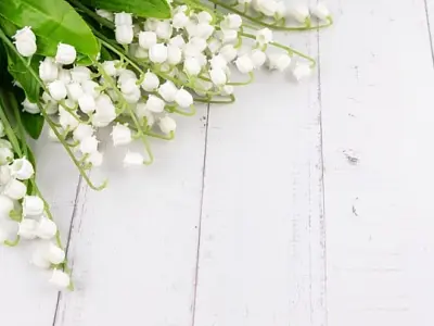 Tổng hợp ảnh nền máy tính đẹp, sắc nét và ấn tượng nhất