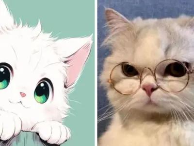 Tải ngay loạt ảnh avatar mèo cực chất cho dân nghệ thuật