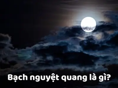 Bạch nguyệt quang là gì? Ý nghĩa sâu sắc trong tình yêu
