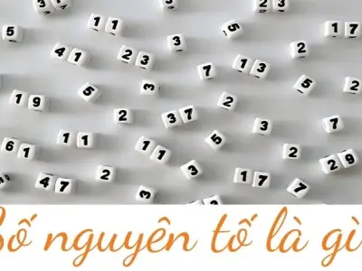 Số nguyên tố là gì? Cách nhận biết và ví dụ dễ hiểu