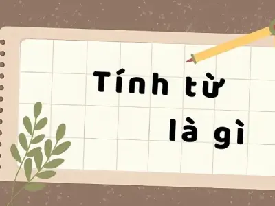 Tính từ là gì? Cách dùng và ví dụ chi tiết dễ hiểu nhất