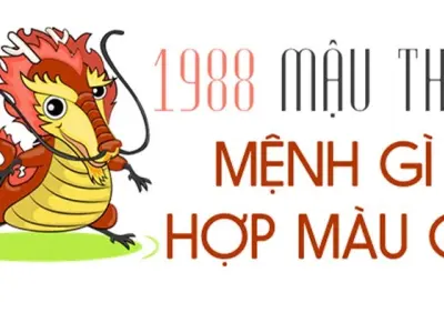1988 mệnh gì? Cách chọn cây phong thủy hút tài lộc