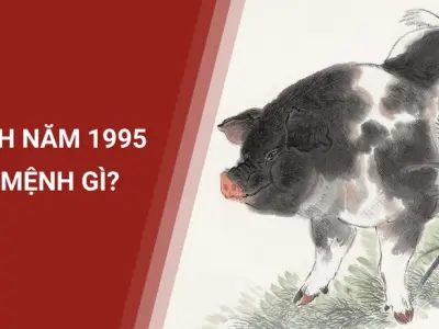 Giải đáp chi tiết người tuổi 1995 mệnh gì?
