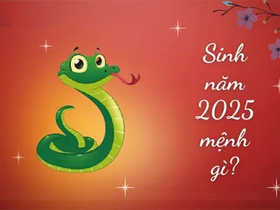 Giải đáp người sinh năm 2025 mệnh gì chính xác nhất?