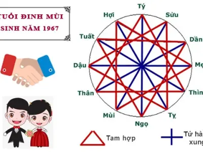 Sinh năm 1967 mệnh gì? Hợp màu và tuổi nào nhất