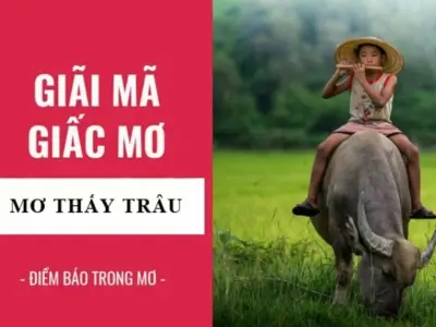 Giải mã giấc mơ thấy trâu báo hiệu điều gì?