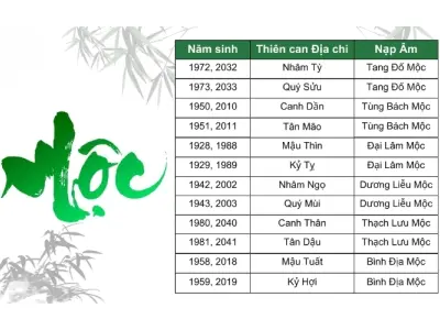 Người mệnh Mộc là gì? Tính cách có gì đặc biệt