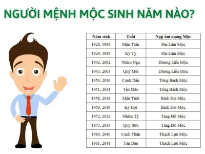 Mệnh Mộc sinh năm nào? Danh sách đầy đủ theo ngũ hành