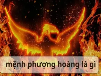 Mệnh phượng hoàng là gì? Biểu tượng quyền lực bí ẩn