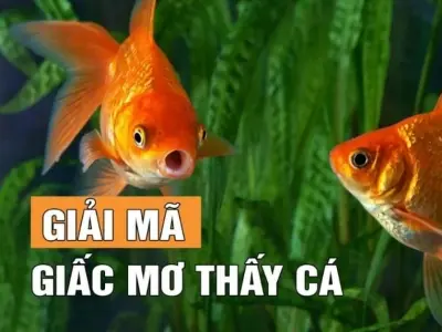 Giải mã ý nghĩa khi nằm mơ thấy cá trong giấc mơ