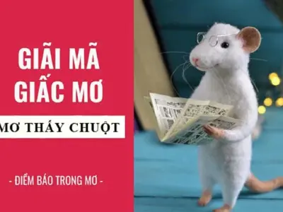 Nằm mơ thấy chuột là hên hay xui theo quan niệm