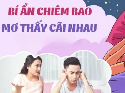 Giải mã ý nghĩa giấc mơ vợ chồng cãi nhau báo hiệu gì?