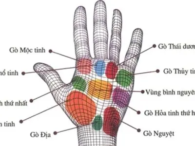 Nhân tướng học nốt ruồi trên tay và ý nghĩa phong thủy