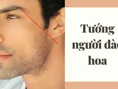 Hé lộ nhân tướng học tướng người đào hoa và số mệnh