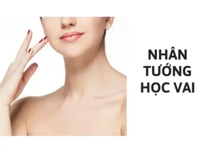 Nhân tướng học vai tiết lộ vận mệnh và tính cách con người