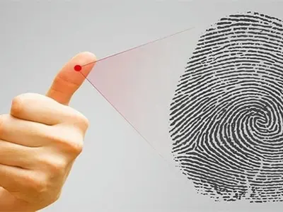 Nhân tướng học vân tay và bí mật vận mệnh cuộc đời bạn