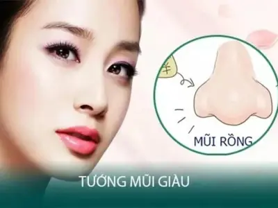 Xem tướng mũi giàu để đoán tài lộc và sự nghiệp tương lai