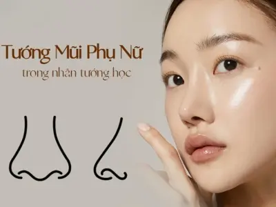 Nhận diện tướng mũi phụ nữ và ý nghĩa trong nhân tướng học