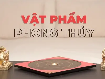 Cây phong thủy giúp hút tài lộc và may mắn cho gia chủ