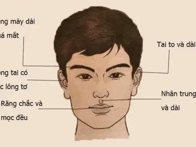 Nhận diện tướng người đa tài chuẩn xác theo nhân tướng học