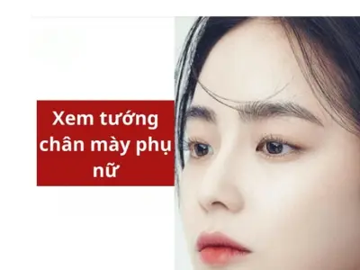 Xem tướng qua chân mày nữ tiết lộ vận mệnh và tính cách